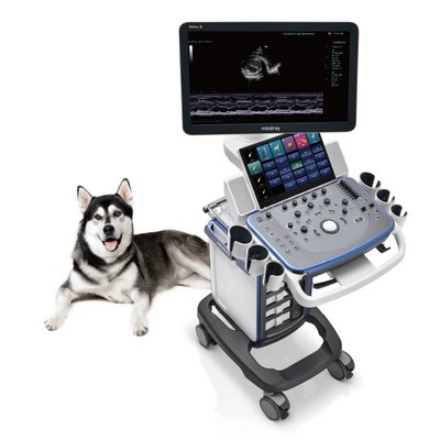 Veterinary diagnostic ultrasound system Vetus 5, Mindray