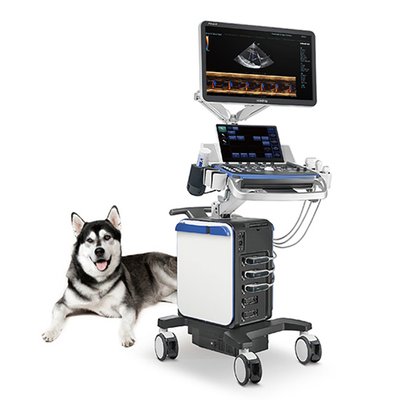 Veterinary Diagnostic Ultrasound System Vetus 8, Mindray