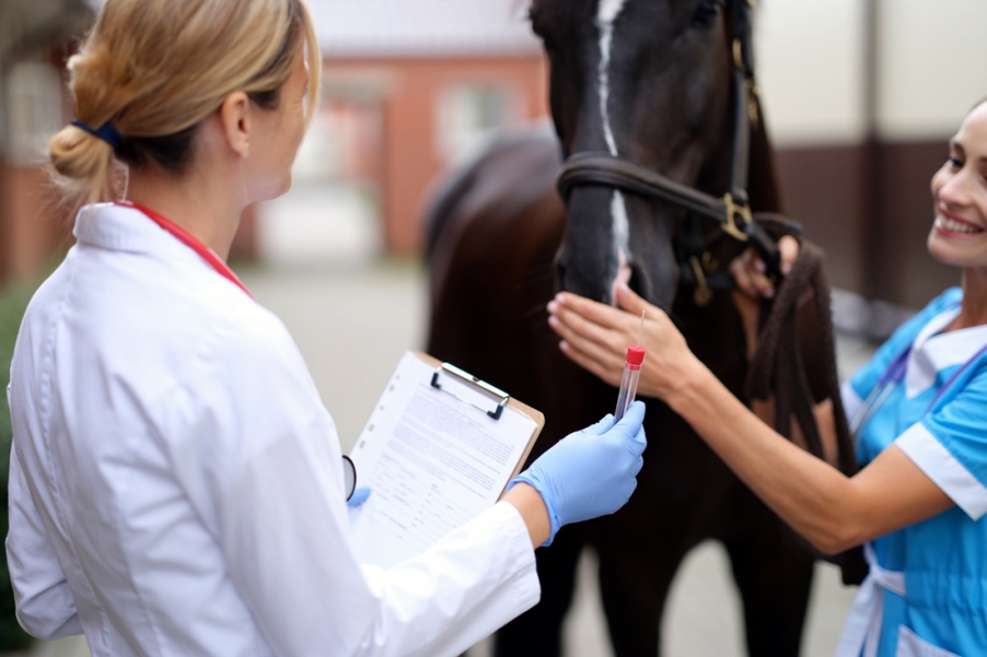 Нові технології для відстеження здоров'я коней: що мають знати власники